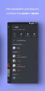 Discord (Дискорд) скриншот 5