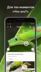 Google Объектив скриншот 7