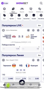 WowBet (Вов Бет) скриншот 5